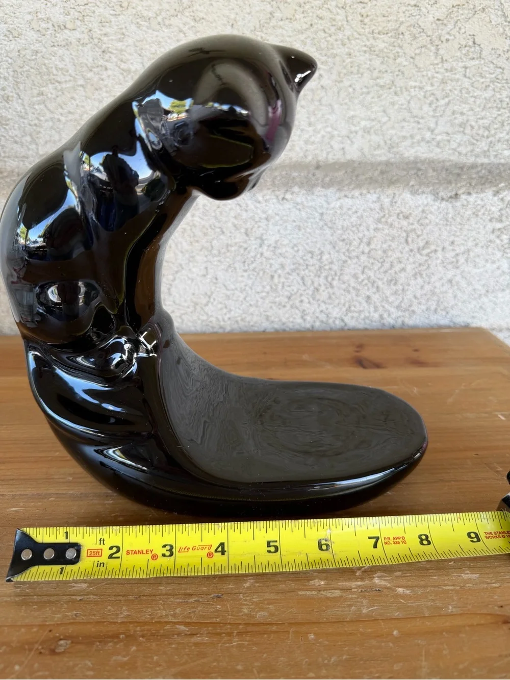 Black glossy cat